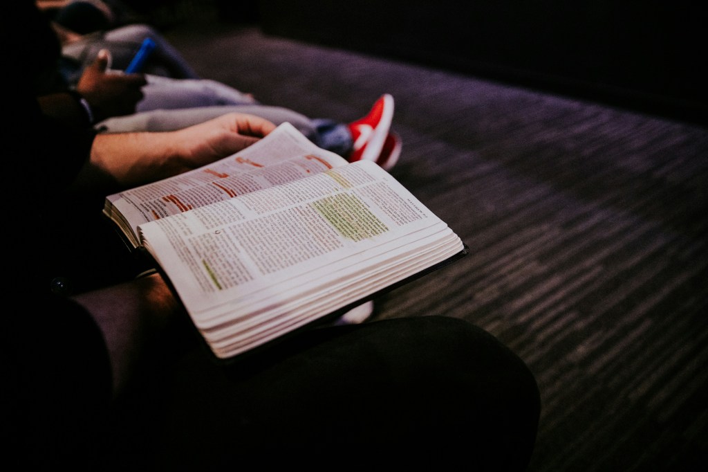 hannah-busing-G-_L3Eqkqmc-unsplash hannah-busing-G-_L3Eqkqmc-unsplash
